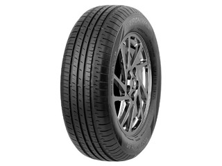Шина Fronway Ecogreen 55 185/50R16
